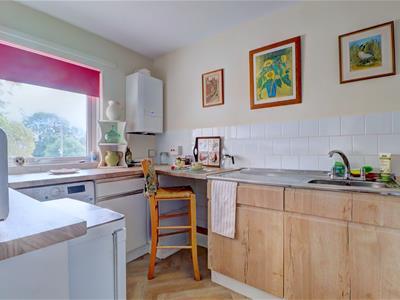 Picture 13